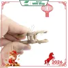 Kẹp phơi quần áo hình đậu tiện dụng (1 Vỉ / 20 Cái) -2